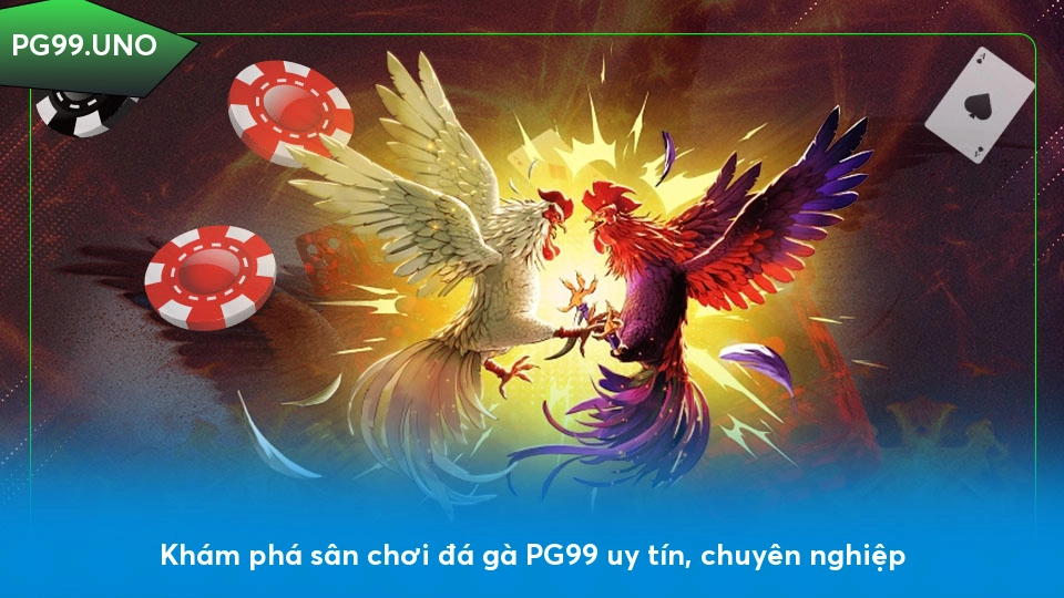 Đá gà PG99 - Hệ thống cược đa dạng và cơ hội kiếm tiền cao Khám phá sân chơi đá gà PG99 uy tín, chuyên nghiệp