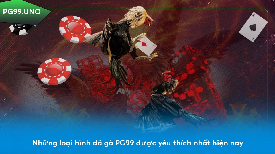 Đá gà PG99 - Hệ thống cược đa dạng và cơ hội kiếm tiền cao Những loại hình đá gà PG99 được yêu thích nhất hiện nay