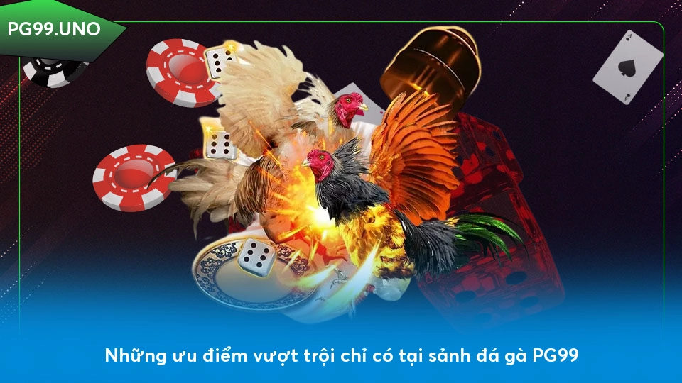 Đá gà PG99 - Hệ thống cược đa dạng và cơ hội kiếm tiền cao Những ưu điểm vượt trội chỉ có tại sảnh đá gà PG99